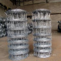 Chian factory New sale(electro & hot dipped /PVC coated galvanized) Grass Land Fence (Manufactory)
